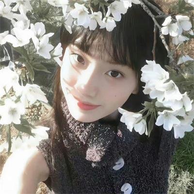 永远的帕拉迪索